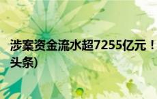 涉案资金流水超7255亿元！特大跨境“网赌”案告破(今日/头条)