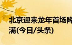 北京迎来龙年首场降雪，故宫21日门票已约满(今日/头条)