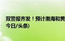 双警报齐发！预计渤海和黄海出现3米到5米的大浪到巨浪(今日/头条)