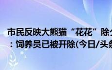 市民反映大熊猫“花花”除夕期间被遗忘外场情况 官方回应：饲养员已被开除(今日/头条)