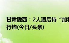 甘肃陇西：2人酒后持“加特林”烟花朝重点文保燃放，被行拘(今日/头条)