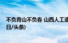 不负青山不负春 山西人工造林规模连续三年居全国第一(今日/头条)
