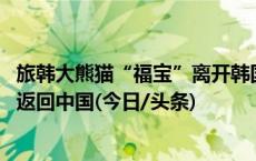 旅韩大熊猫“福宝”离开韩国京畿道龙仁市的爱宝乐园 启程返回中国(今日/头条)