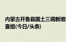 内蒙古开鲁县国土三调新增耕地有偿使用？官方：已成立调查组(今日/头条)