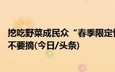 挖吃野菜成民众“春季限定快乐” 医生：有风险，不认识的不要摘(今日/头条)