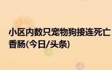 小区内数只宠物狗接连死亡？主人：疑似吃了带“馅儿”的香肠(今日/头条)