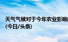 天气气候对于今年农业影响的程度如何？国家气象中心回应(今日/头条)