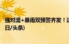 强对流+暴雨双预警齐发！这些地方将有雷暴大风或冰雹(今日/头条)