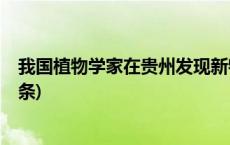我国植物学家在贵州发现新物种“北盘江凤仙花”(今日/头条)