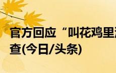 官方回应“叫花鸡里没有鸡”：已立案取证调查(今日/头条)