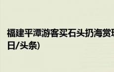 福建平潭游客买石头扔海赏玩“蓝眼泪”，当地文旅回应(今日/头条)