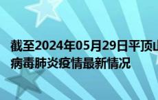 截至2024年05月29日平顶山疫情最新消息-平顶山新型冠状病毒肺炎疫情最新情况
