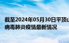 截至2024年05月30日平顶山疫情最新消息-平顶山新型冠状病毒肺炎疫情最新情况