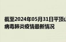 截至2024年05月31日平顶山疫情最新消息-平顶山新型冠状病毒肺炎疫情最新情况