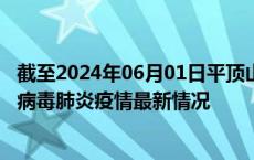截至2024年06月01日平顶山疫情最新消息-平顶山新型冠状病毒肺炎疫情最新情况