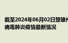 截至2024年06月02日楚雄州疫情最新消息-楚雄州新型冠状病毒肺炎疫情最新情况