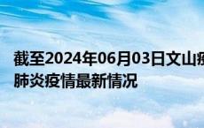 截至2024年06月03日文山疫情最新消息-文山新型冠状病毒肺炎疫情最新情况
