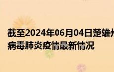 截至2024年06月04日楚雄州疫情最新消息-楚雄州新型冠状病毒肺炎疫情最新情况