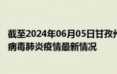 截至2024年06月05日甘孜州疫情最新消息-甘孜州新型冠状病毒肺炎疫情最新情况