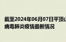 截至2024年06月07日平顶山疫情最新消息-平顶山新型冠状病毒肺炎疫情最新情况