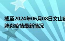 截至2024年06月08日文山疫情最新消息-文山新型冠状病毒肺炎疫情最新情况