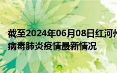 截至2024年06月08日红河州疫情最新消息-红河州新型冠状病毒肺炎疫情最新情况