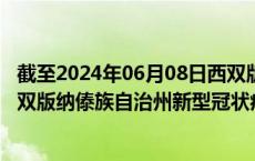 截至2024年06月08日西双版纳傣族自治州疫情最新消息-西双版纳傣族自治州新型冠状病毒肺炎疫情最新情况