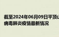 截至2024年06月09日平顶山疫情最新消息-平顶山新型冠状病毒肺炎疫情最新情况
