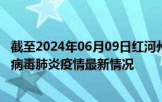 截至2024年06月09日红河州疫情最新消息-红河州新型冠状病毒肺炎疫情最新情况