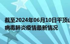 截至2024年06月10日平顶山疫情最新消息-平顶山新型冠状病毒肺炎疫情最新情况