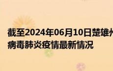 截至2024年06月10日楚雄州疫情最新消息-楚雄州新型冠状病毒肺炎疫情最新情况