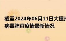 截至2024年06月11日大理州疫情最新消息-大理州新型冠状病毒肺炎疫情最新情况