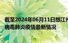 截至2024年06月11日怒江州疫情最新消息-怒江州新型冠状病毒肺炎疫情最新情况
