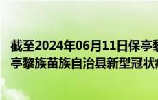 截至2024年06月11日保亭黎族苗族自治县疫情最新消息-保亭黎族苗族自治县新型冠状病毒肺炎疫情最新情况