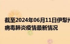 截至2024年06月11日伊犁州疫情最新消息-伊犁州新型冠状病毒肺炎疫情最新情况