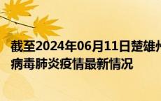 截至2024年06月11日楚雄州疫情最新消息-楚雄州新型冠状病毒肺炎疫情最新情况