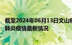 截至2024年06月13日文山疫情最新消息-文山新型冠状病毒肺炎疫情最新情况