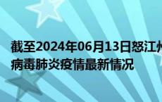 截至2024年06月13日怒江州疫情最新消息-怒江州新型冠状病毒肺炎疫情最新情况