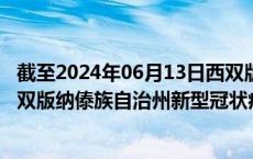 截至2024年06月13日西双版纳傣族自治州疫情最新消息-西双版纳傣族自治州新型冠状病毒肺炎疫情最新情况