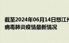 截至2024年06月14日怒江州疫情最新消息-怒江州新型冠状病毒肺炎疫情最新情况