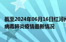 截至2024年06月16日红河州疫情最新消息-红河州新型冠状病毒肺炎疫情最新情况