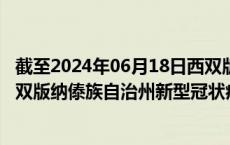 截至2024年06月18日西双版纳傣族自治州疫情最新消息-西双版纳傣族自治州新型冠状病毒肺炎疫情最新情况